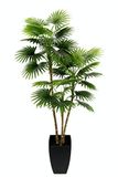 Palm Kunstwaaierpalm in pot