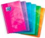 Oxford Schrift Oxford Multicolour 50 Lakens 11 x 17 cm 10 Stuks