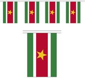 Merkloos / Sans marque Shoppartners Bv Suriname vlaggenlijn van stof - 300 cm - polyester - landen vlaggetjes - versiering