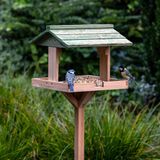 Gifts4Nature Voederhuisje op Paal - Vogelvoerderhuisje Staand voor Kleine Vogels & Tuinvogels - Groen