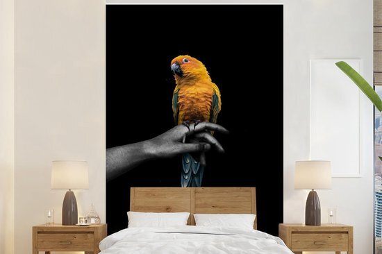 Nr1Wallpaper Behang - Fotobehang Vogel - Tak - Papegaai - Breedte 225 cm x hoogte 350 cm