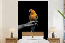 Nr1Wallpaper Behang - Fotobehang Vogel - Tak - Papegaai - Breedte 225 cm x hoogte 350 cm