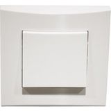 Alternative Elec - Interrupteur va-et-vient blanc 10A 250V encastré connexion auto fixation vis complet avec plaque de finition AE52001-P