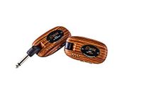 ORTEGA digitaal draadloos systeem - 4 kanalen / 2,4 GHz/oplaadbaar/incl. USB-kabel (ODWS-1WND)