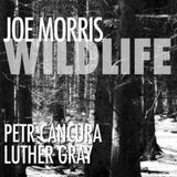 Bertus Distributie Joe Morris Wildlife