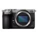 Nikon Z5 IIC appareil photo système Boîtier Argent