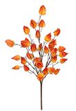 Physalis kunstmatige struik 52 cm lampion herfstbloem fysalistak herfstdecoratie kunstbloem herfstbloem zijden bloem tak voor vaas Halloween decoratieve tak voor slingers kransen herfstkransen