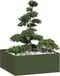 Maison Exclusive - Pot de fleurs, vert olive, 100x100x40 cm, acier