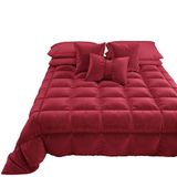 PETTI Artigiani Italiani - Winterdekbed voor Lits-jumeaux (160/180 cm) - 260 x 270 cm van Fluweel, Dubbelzijdige Hypoallergene Bedsprei 350 g/m², Warm Dekbed, Bordeaux, Made in Italy
