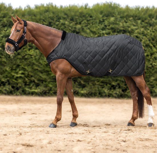 Exclusive Horsewalker Sheet - Night Blue - 50g