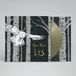 LYS - Kati Rán - LYS - Limited Edition - LP - Natural - Wereldmuziek - 2025