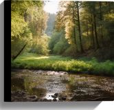 Merkloos / Sans marque Canvas Bos Natuur Water Beekje Stenen Bomen 30x30 cm Foto op Canvas Schilderij