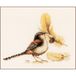 LANARTE Borduurpakket Kruissteek Schilderij VINK Handwerkpakket voor Wanddecoratie 22 x 15 cm