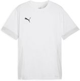 Puma TeamGoal wedstrijdshirt 705747 - 3XL