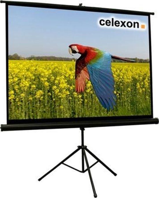 Celexon 1090257 projectiescherm 4:3 - 65 inch (165 cm) - Zwart;Wit