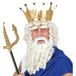 Générique W WIDMANN MILANO Party Fashion Z0787 Pruik Zeus met baard, snor en wenkbrauwen, wit, krullende pruik, Poseidon, themafeest, carnaval
