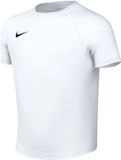 Nike Dri-FIT Park VIII SS Shirt Junior - Maat 158