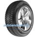Nexen Winguard Ice Plus ( 185/60 R15 88T XL 4PR, Nordic compound )