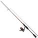 Daiwa Ninja Tsuki 2026 Njsp732hmhfsedf+nj23lt3000 Combo rotatif Argent 2,24 m / 10-35 g