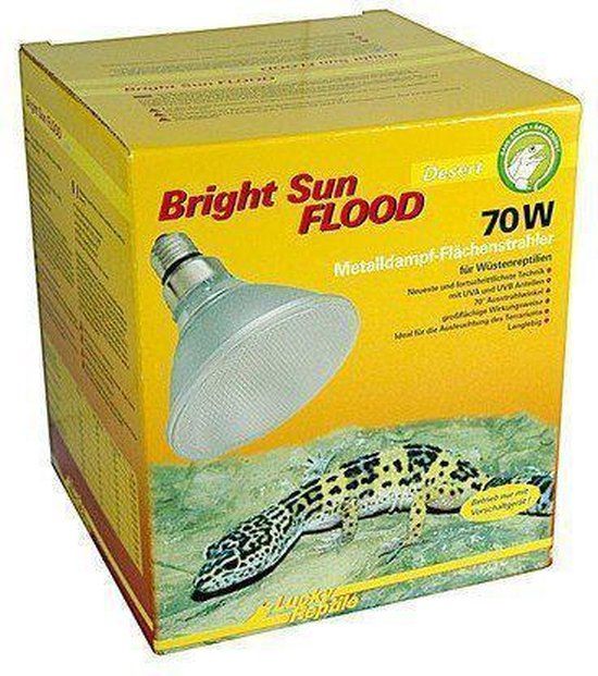 Lucky Reptile Bright Sun FLOOD Desert 70 W