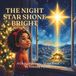 THE NIGHT THE STAR SHONE BRIGHT: A Christmas Story About Jesus