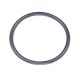 Gardena O-Ring 1"