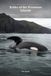Keiko of the Westman Islands: An Illustrated True Story of the Orca Who Left the Tank