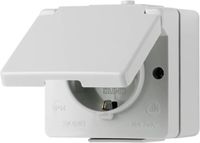 Jung 620WX Wandcontactdoos met randaarde en klapdeksel Compleet WG 600 Lichtgrijs 1 stuk(s)