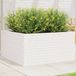 Maison Exclusive - Jardinière d'extérieur blanche, 90 x 90 x 46 cm, bois de pin massif