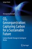 CO2 Springer CO2 Geosequestration: Capturing Carbon for a Sustainable Future Paperback