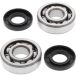 ALL BALLS Racing krukas lagerset crankshaft bearing set ab 24-1006 with simmerrings