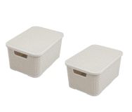 BranQ Home Essential Mand met deksel in rotan design, 2-delige set, maat M (2 stuks), 10 l, kunststof PP, crème