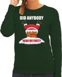 Bellatio Decorations Shoppartners Bv Fun Kerst sweater / kersttrui Did anybody hear my fart groen voor dames - Kerstkleding / Christmas outfit XS