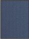 vidaXL Tapis de porte 80x120 cm bleu