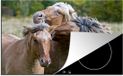 Merkloos KitchenYeah® Inductie beschermer 77x51 cm - Drie spelende fjord paarden - Inductie kookplaat accessoire