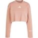 Adidas Dames Sweater All Szn Graphic