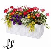 Merkloos Balkonbak - 19x50x19 cm - met houder - kunststof - wit