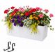 Merkloos Balkonbak - 19x50x19 cm - met houder - kunststof - wit