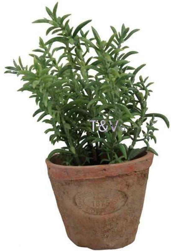 Esschert Design - Kunstplant Tijm in terracotta pot AH001