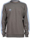 Arena Dames sweatshirt Arena Team Heather-WH