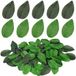 300 feuilles vertes en plastique