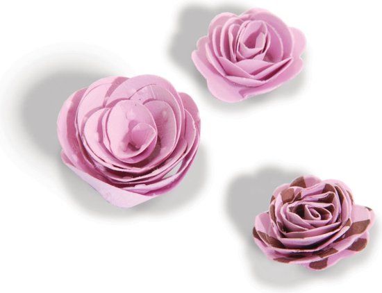Sizzix Bigz Die Stans Set van Twee 3D Bloemen ontworpen door Beth Reames