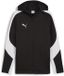 Puma TeamEVOSTRIPE Hooded Jacket 659947