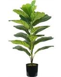 Wintem Kunstmatige Ficus Lyrata Plant