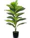 Wintem Kunstmatige Ficus Lyrata Plant