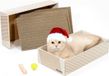 Merkloos / Sans marque Scratcher Box voor Kat - Krabmeubel voor Krabben Kat