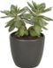 Floran Pot Mat Antraciet Grijs Keramiek 12 cm