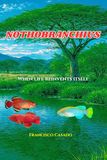 NOTHOBRANCHIUS: NOTHOBRANCHIONS: When life reinvents itself