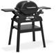 Weber Q 1200N Gasbarbecue op standaard