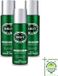 Brut Vaporisateur Original 3 x - 200 ml